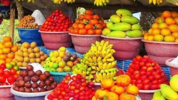 Permalink to: Nutrition